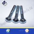 Cabeça redonda do pescoço oval Bolt for Clamp use